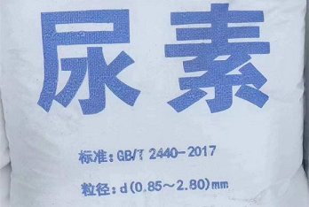 公司實(shí)力雄厚